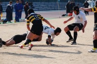 sDSC_0349