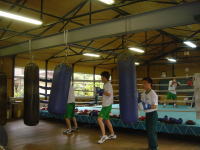 �{�N�V���O��